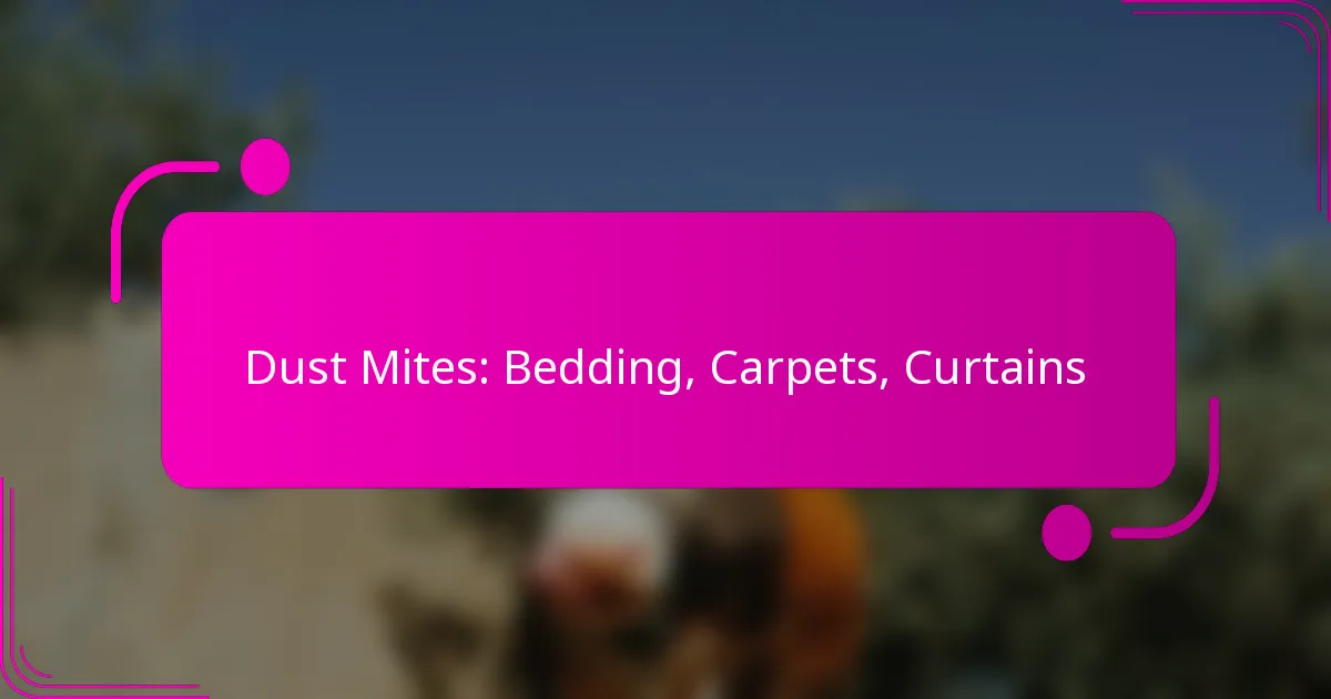 Dust Mites: Bedding, Carpets, Curtains